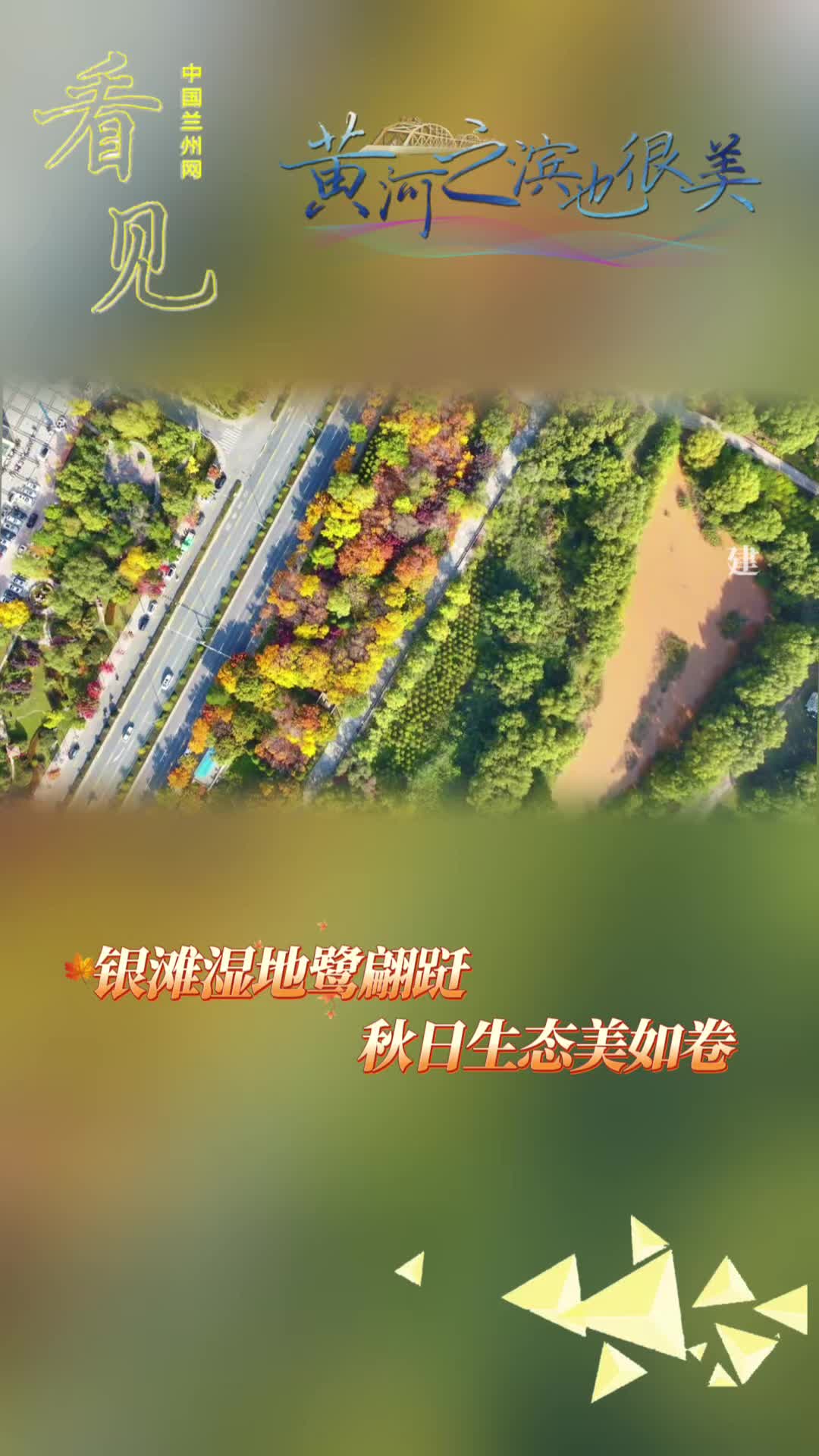 Ҋ޶_myأľ~䁽̺JȔӢˮS֮I